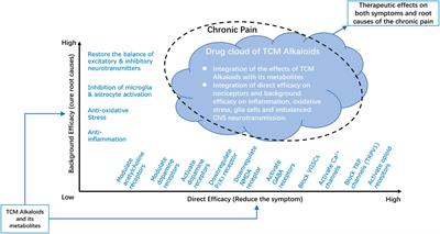 Analgesic Alkaloids Derived From Traditional Chinese Medicine in Pain Management